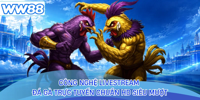 Công nghệ livestream đá gà trực tuyến chuẩn HD siêu mượt