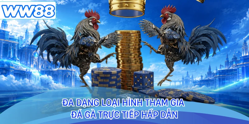 Đa dạng loại hình tham gia đá gà trực tiếp hấp dẫn