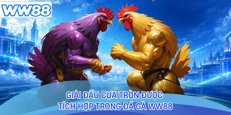 Giải đấu cựa tròn được tích hợp trong đá gà WW88 